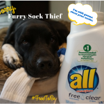Our Furry Sock Thief VS. All Free Clear