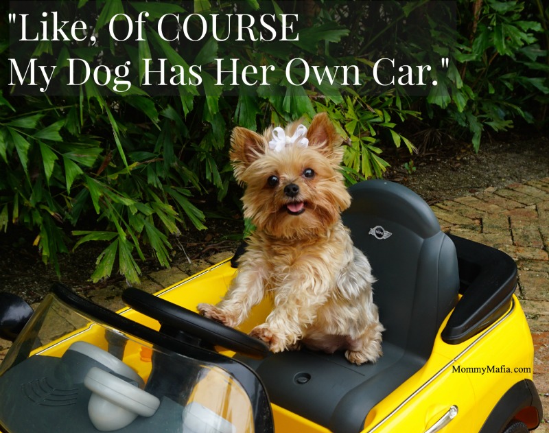 Like, Of COURSE My Dog Has Her Own Car. How Do You Pamper Your Pet?