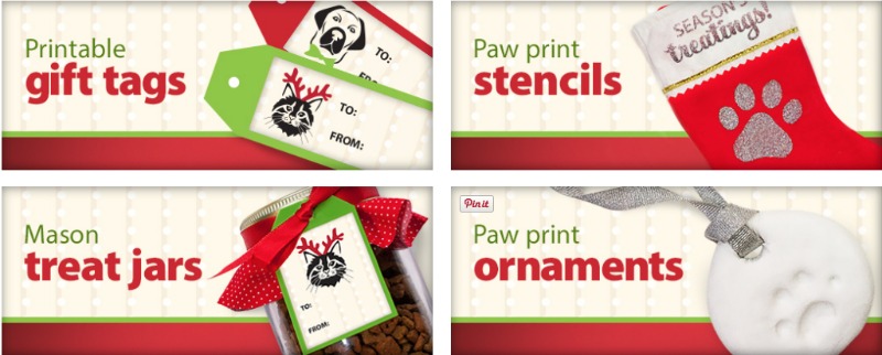 Easy DIY gifts for pets
