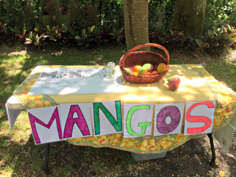 Summer means mangos in Miami MommyMafia.com