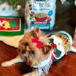 DIY Ugly Christmas Sweater For Dogs