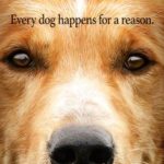 Every Dog Happens For A Reason | A Dog's Purpose