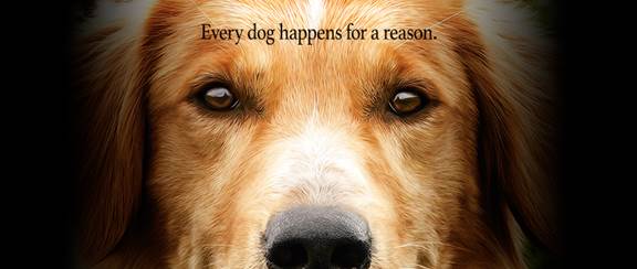 Every Dog Happens For A Reason | A Dog’s Purpose